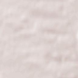 Pustomyty Terrain Map