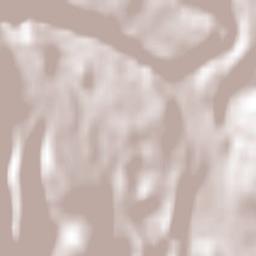 Kimberley Terrain Map