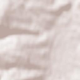 Michelstadt Terrain Map