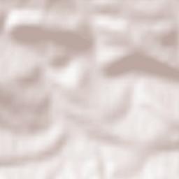 Korzenna Terrain Map