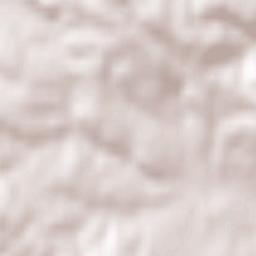 Zmiennica Terrain Map