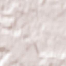 Puntledge Terrain Map