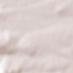 Radziechowy Terrain Map