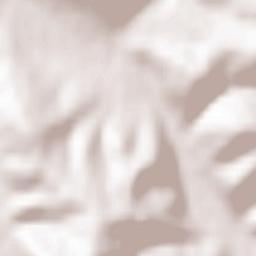 Mszana Górna Terrain Map