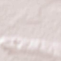 Shchyrets Terrain Map