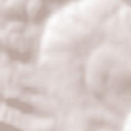 Pomoriany Terrain Map