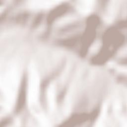 Powiat żywiecki Terrain Map