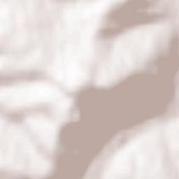 Niedźwiedź Terrain Map