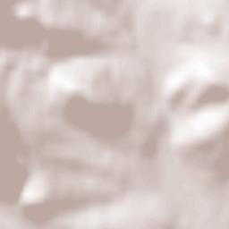 Łukowica Terrain Map