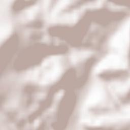 Saarburg Terrain Map