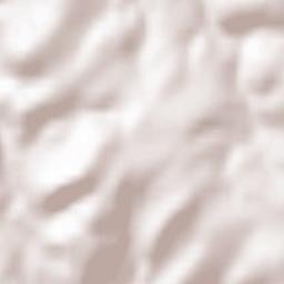 Niederkirchen Terrain Map