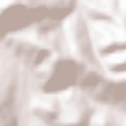 Krzyżowa Terrain Map