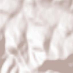 Lubomierz Terrain Map