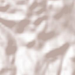 Wald-Michelbach Terrain Map