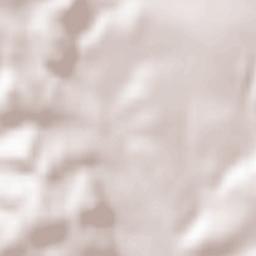 Olešnice Terrain Map