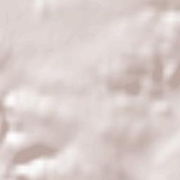 Přemyslovice Terrain Map