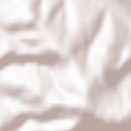 Żabnica Terrain Map