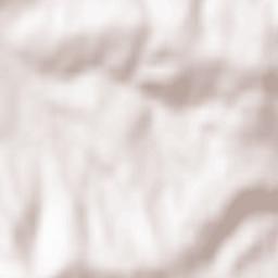 Rokiciny Terrain Map