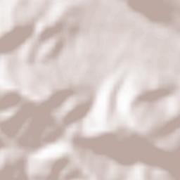 Kamienica Terrain Map