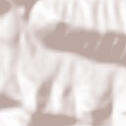 Kamionka Wielka Terrain Map