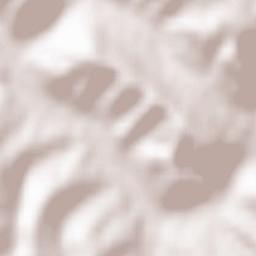 Tyrawa Wołoska Terrain Map