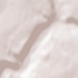 Barentin Terrain Map