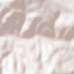 Sieniawa Terrain Map