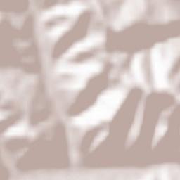 Ochotnica Dolna Terrain Map