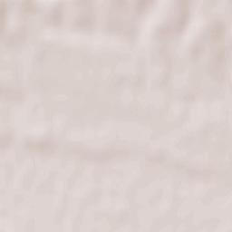 Skelivka Terrain Map