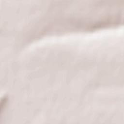 Bilokurakyne Terrain Map