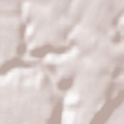 Saint-Nicolas-de-la-Taille Terrain Map