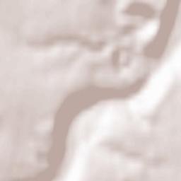 Saint-Paër Terrain Map