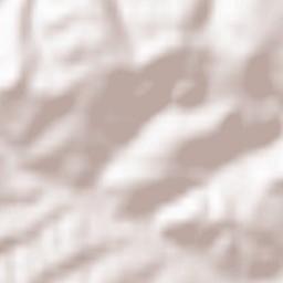 Reichenbach-Steegen Terrain Map