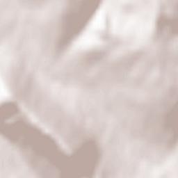 Uście Gorlickie Terrain Map