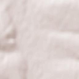 Markivka Terrain Map