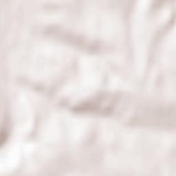 Arkharinskiy Rayon Terrain Map