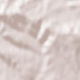 Kottweiler-Schwanden Terrain Map