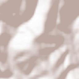 Heiligkreuzsteinach Terrain Map