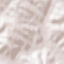 Olszanica Terrain Map