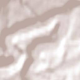 Princeton Terrain Map