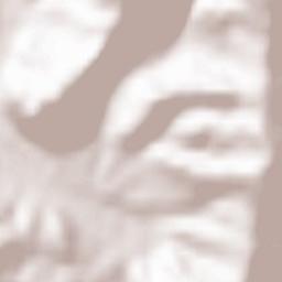 Piwniczna-Zdrój Terrain Map