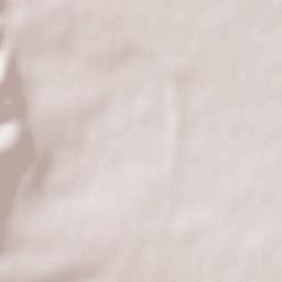 Niederkirchen bei Deidesheim Terrain Map