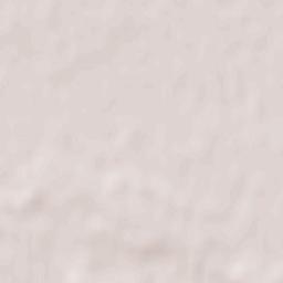 Limburgerhof Terrain Map