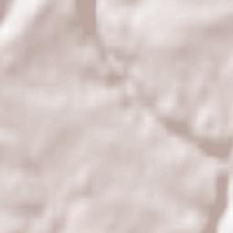 Fahrenbach Terrain Map