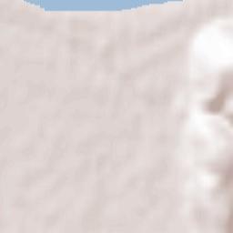 Heidelberg Terrain Map