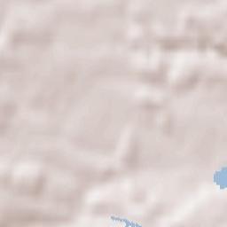 Flachslanden Terrain Map