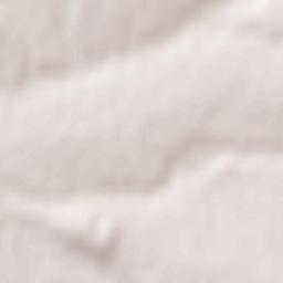 Savyntsi Terrain Map