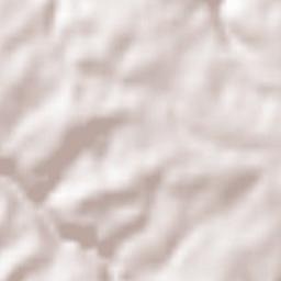 Trippstadt Terrain Map