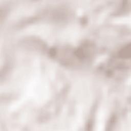 Waldmünchen Terrain Map