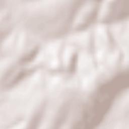 Prusinovice Terrain Map